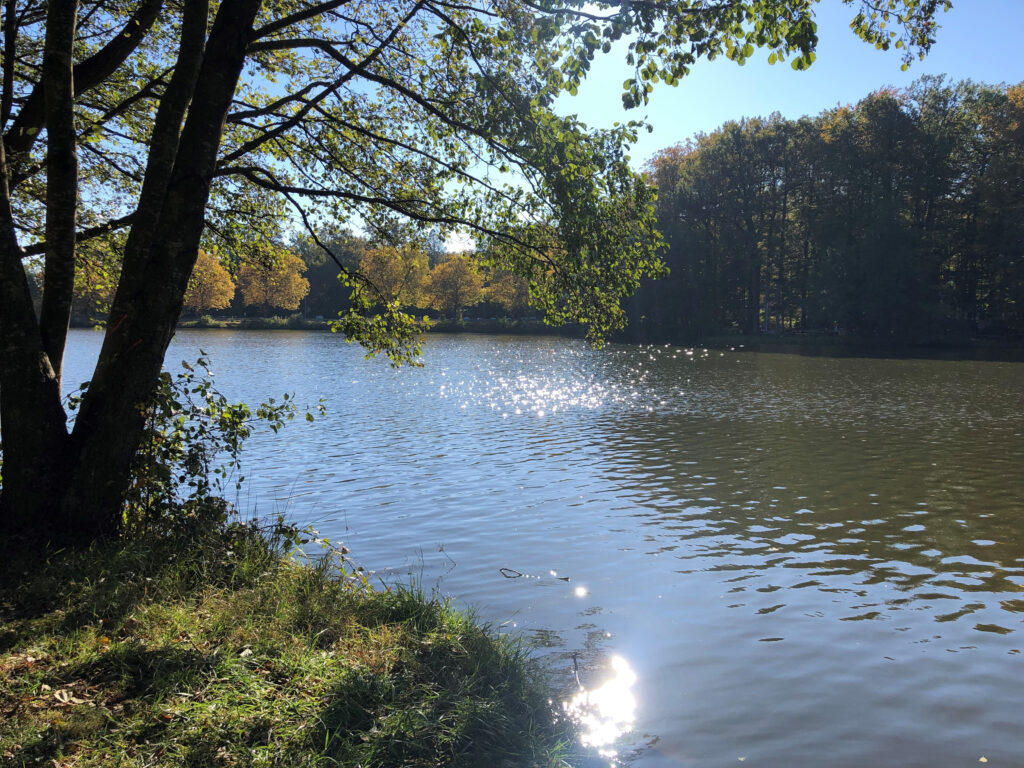 Foto: Rainer Blum - Jägersburger Weiher 
